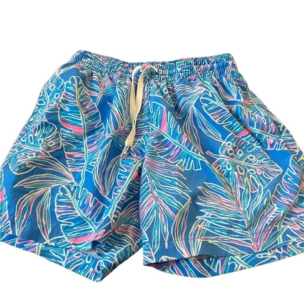 Chubbies The Cruise It or Lose It swim trunks